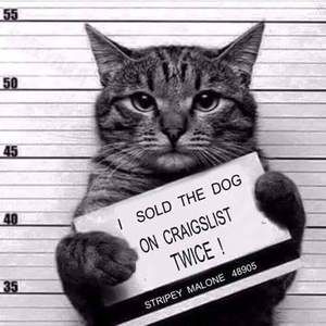 Meet your Posher, Carol